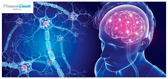 Reprodução em 3D da esclerose múltipla no cérebro